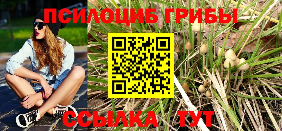 Галлюциногенные грибы Psilocybe  Вход с VPN  Орёл  Псилоцибиновые грибы Magic Shrooms 