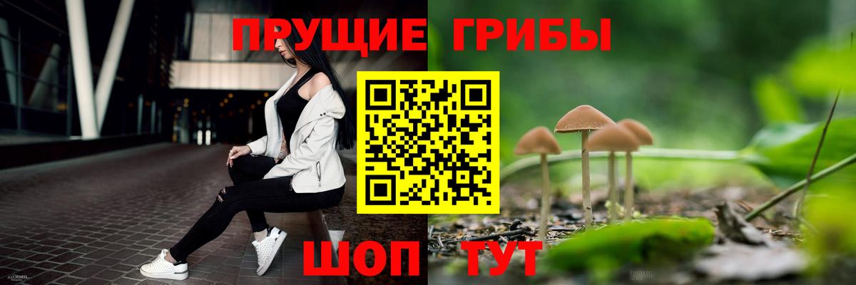 Галлюциногенные грибы мицелий Орёл